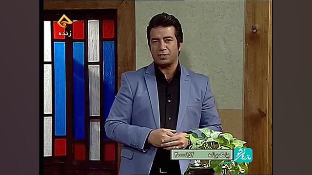 کار آفرین عسل. شبکه تبرستان.مازرونی شو.با اجرای سید امیر رخت اعلا.تهیه کننده:رضا زمان347ثانیه