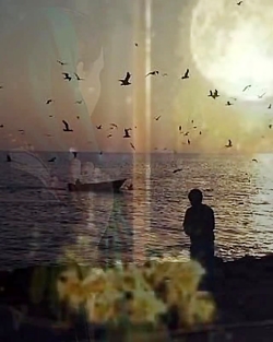 گرشا رضایی (دنیامی) اینستا گرا...