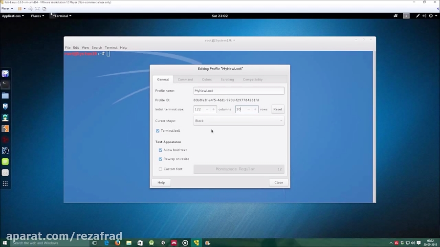 change-terminal-color-and-font-size-in-kali-linux