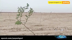 هوای پاک در خوزستان