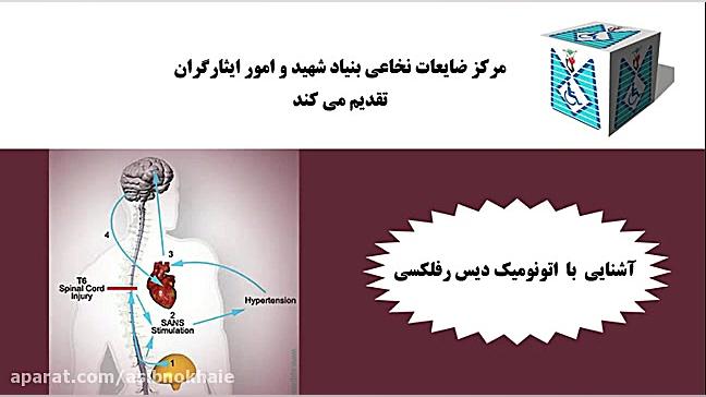 آشنایی با اتونومیک دیس رفلکسی ابمابوسیکلیب