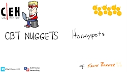 87  Honeypots
