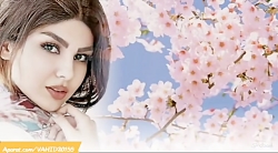 آهنگ شاد ♫ آهنگ ایرانی شاد و ز...