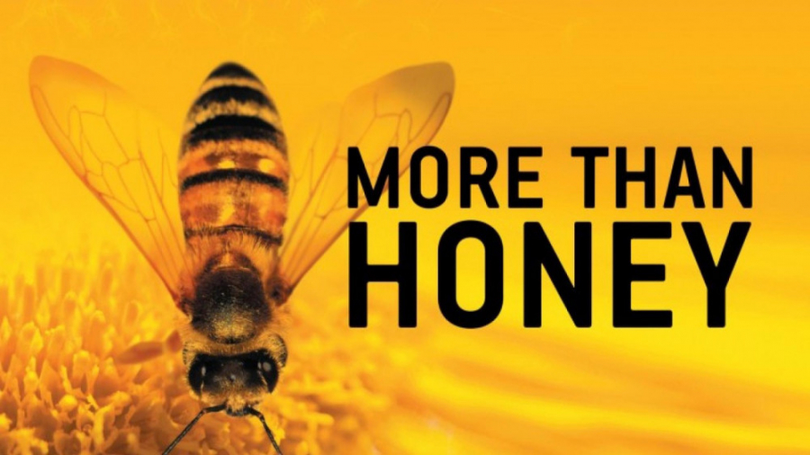 مستند فراتر از عسل (دوبله) / More Than Honey زمان5666ثانیه
