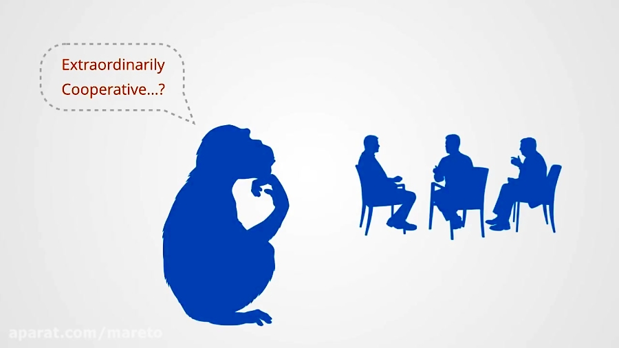 Game Theory Course Introduction