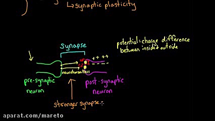 Long term potentiation and synaptic plasticity | Processing the Environment | MCAT | Khan Academy منافذ باز پوست