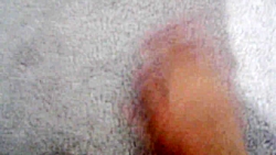 تمام باربی های پری دریایی من