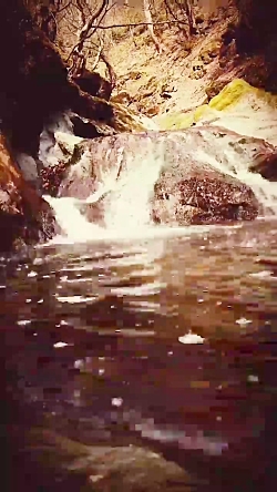 yek roze ali va piyade ravi da...