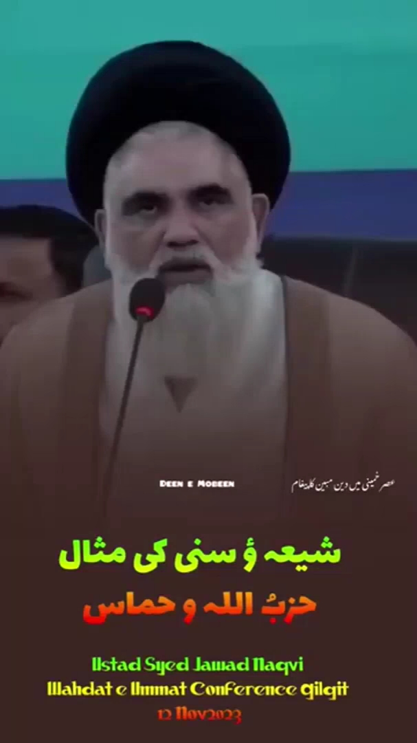 @DeeneMobeen2024 سنی اور شیعہ کی مثال آج کی حزب ا