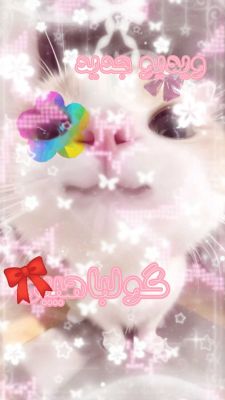 ایهتمکلدمیکلسانه.................. اوحــــــــــــ