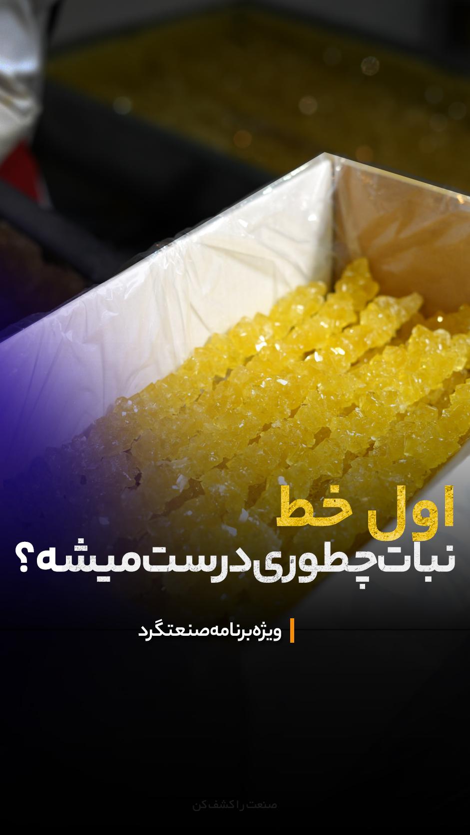 «نبات» از کجا شروع می‌شه؟