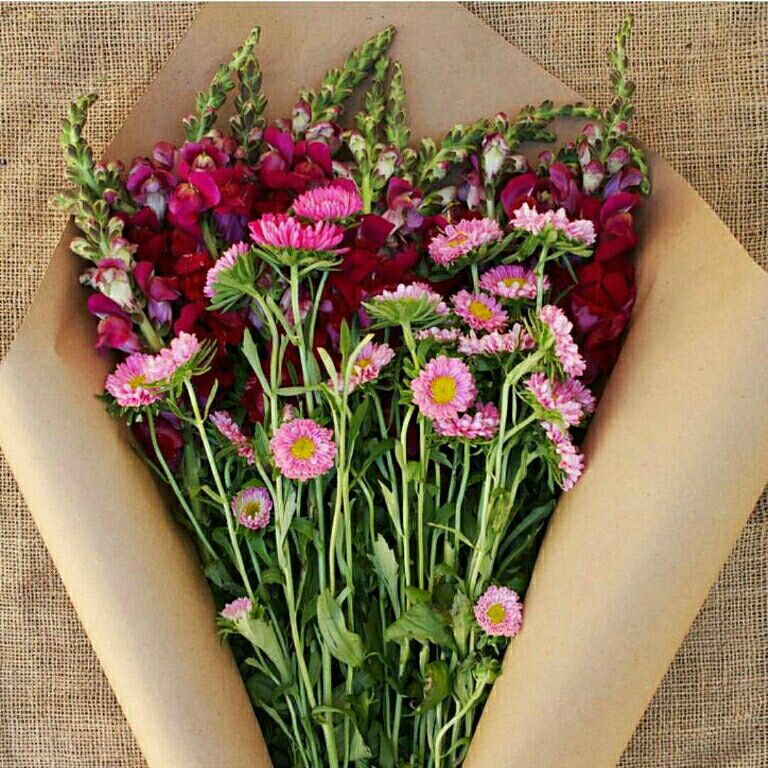 تقدیم به تو:
ﻣﯽ ﻧﻮﯾﺴﻢ ﺑﺮﺍﯼ ﺗﻮ ...
ﺑﺮﺍﯼ ﺗﻮﯾﯽ ﮐﻪ ﺑﻮﺩﻧﺖ ﺭﺍ ...
ﻧﻪ ﭼﺸﻤﺎﻧﻢ ﻣﯿﺒﯿﻨﺪ ...
ﻭ ﻧﻪ ﮔﻮﺵ ﻫﺎﯾﻢ ﻣﯽ ﺷﻨﻮﺩ ...
ﻭ ﻧﻪ ﺩﺳﺘﺎﻧﻢ ﻟﻤﺲ ﻣﯽ ﮐﻨﺪ ...
ﺗﻨﻬﺎ ﺑﺎ ﺷﻌﻔﯽ ﺻﺎﺩﻗﺎﻧﻪ ...
ﺑﺎ ﺩﻟﻢ ﺍﺣﺴﺎﺳﺖ ﻣﯽ ﮐﻨﻢ ... !!!!
هر جای دنیا میخواهی باش ....
من احساسم را با همین دست نوشته ها
به قلبت میرسانم ....
وبودنت را قدرمی دانم.....
دوستت دارم یدونه. اما...
تقدیم ب بهترینها تقدیم به تو:
ﻣﯽ ﻧﻮﯾﺴﻢ ﺑﺮﺍﯼ ﺗﻮ ...
ﺑﺮﺍﯼ ﺗﻮﯾﯽ ﮐﻪ ﺑﻮﺩﻧﺖ ﺭﺍ ...
ﻧﻪ ﭼﺸﻤﺎﻧﻢ ﻣﯿﺒﯿﻨﺪ ...
ﻭ ﻧﻪ ﮔﻮﺵ ﻫﺎﯾﻢ ﻣﯽ ﺷﻨﻮﺩ ...
ﻭ ﻧﻪ ﺩﺳﺘﺎﻧﻢ ﻟﻤﺲ ﻣﯽ ﮐﻨﺪ ...
ﺗﻨﻬﺎ ﺑﺎ ﺷﻌﻔﯽ ﺻﺎﺩﻗﺎﻧﻪ ...
ﺑﺎ ﺩﻟﻢ ﺍﺣﺴﺎﺳﺖ ﻣﯽ ﮐﻨﻢ ... !!!!
هر جای دنیا میخواهی باش ....
من احساسم را با همین دست نوشته ها
به قلبت میرسانم ....
وبودنت را قدرمی دانم.....
دوستت دارم یدونه. اما...
تقدیم ب بهترینها