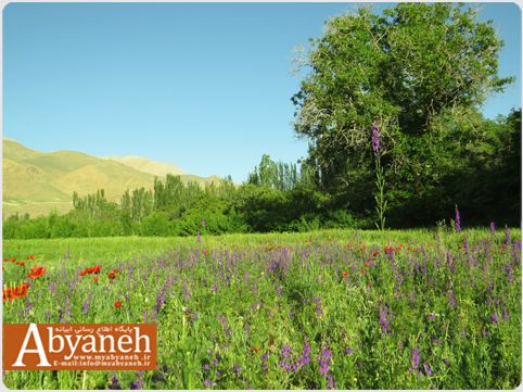 تصویری از طبیعت خرداد ماه روستای ابیانه تصویری از طبیعت خرداد ماه روستای ابیانه