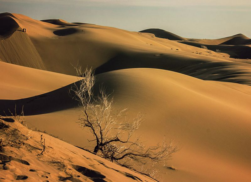 گرم‌ترین نقطه کره زمین

بیابان لوت در جنوب شرقی ایران واقع شده است. 