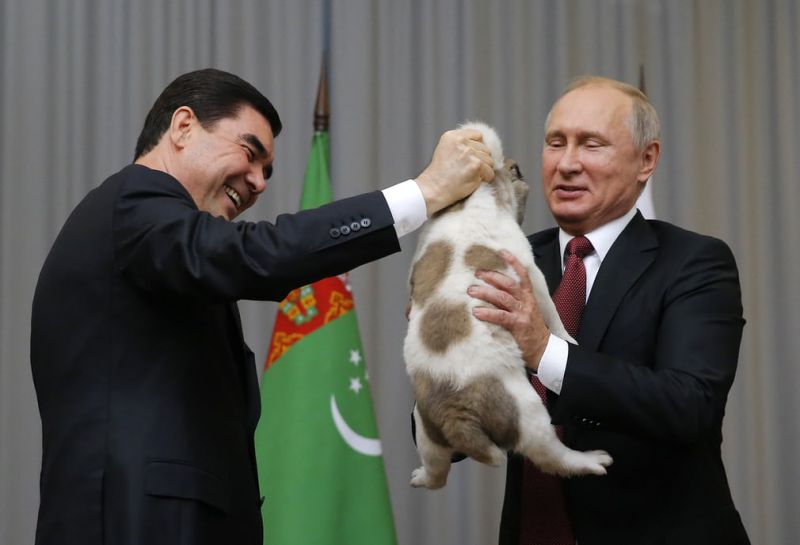 هدیه تولدی که رییس جمهور روسیه از همتای ترکمنستانی خود دریافت کرد/ شهر بندری سوچی روسیه
