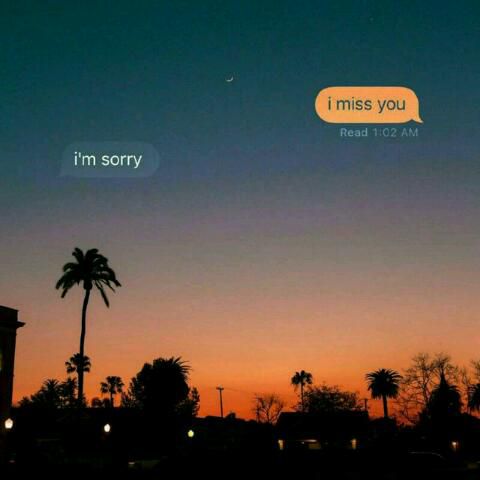 +دلم برات تنگ شده
-من متاسفم:/