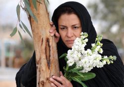 تصویر 9  فیلم  