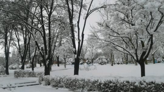یه روز برفی ^_^من عاشق برفم،ابنجام اردبیله