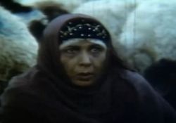 فیلم سینمایی مرگ پلنگ  www.filimo.com/m/D4mJe