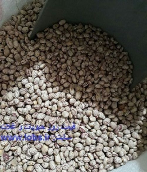 درباره لوبیا