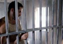 فیلم سینمایی سگ وحشی  www.filimo.com/m/LbTU8