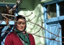 فیلم سینمایی خجالت نکش  www.filimo.com/m/DzQcf