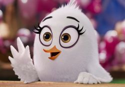انیمیشن پرندگان خشمگین 2   www.filimo.com/m/8uvs9