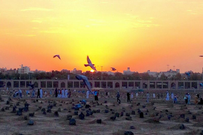 طلوع بقیع
حج تمتع 93 طلوع بقیع
حج تمتع 93