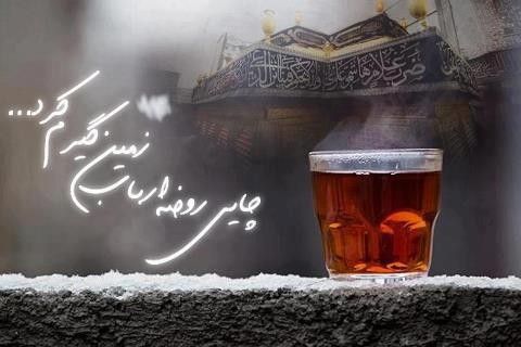 عرق کهنه ی شیراز مرا مست نکرد
چایی تازه دم روضه زمین گیرم کرد