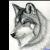 jonwolf