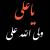 amirhossein
