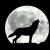 Night wolf