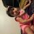 sadegh