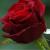 mohammadd62
