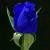 aftab