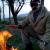 mohsen