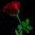 Nahid