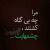 امین تسلیمی