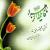 مرید حضرت زهرا س