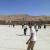 mansour
