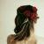 negar