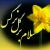 سید