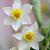 hosein goodarzi