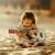 nahid