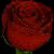 rastgoo