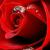 Elham