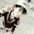 farshad