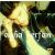 agha-erfan