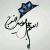 آلبوم نظامی لنزور