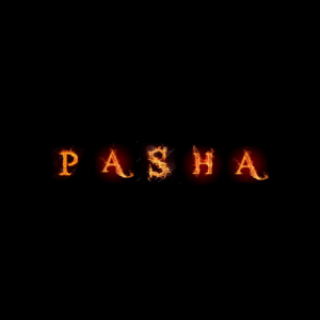 pasha